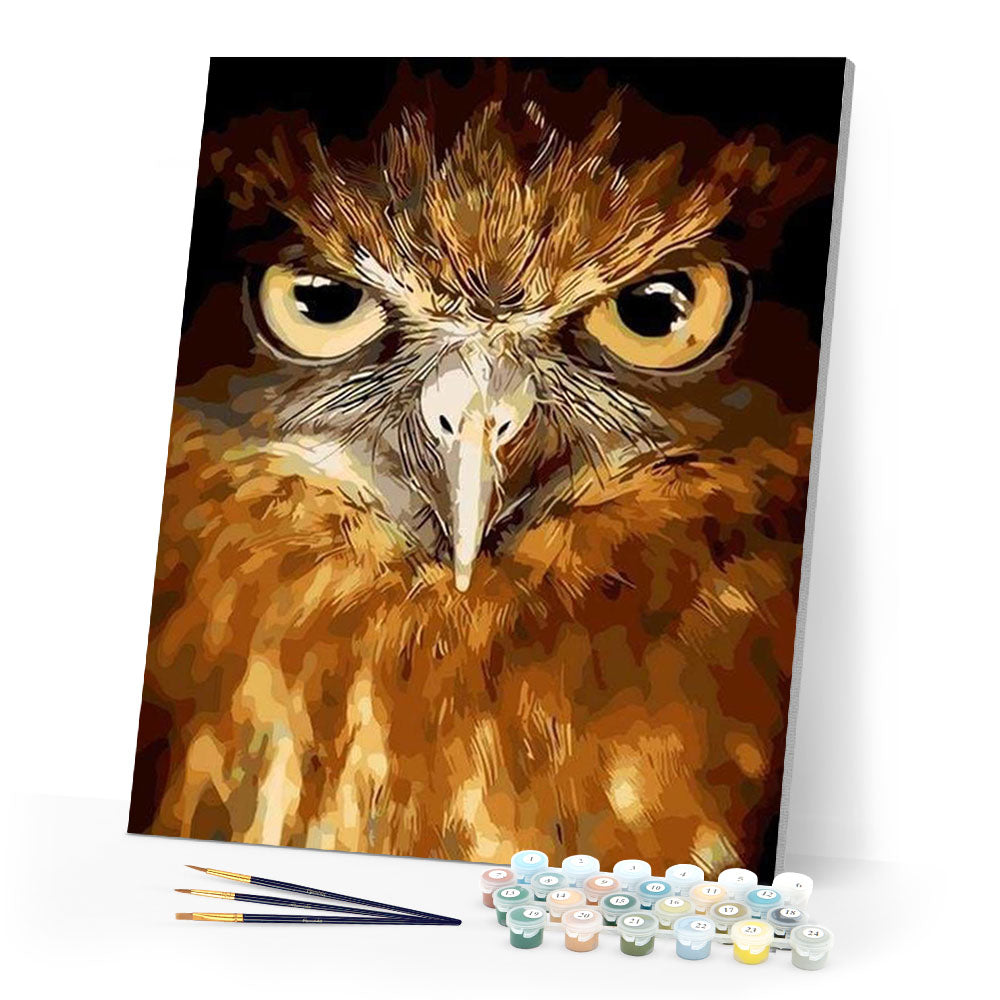paint by numbers | Piercing eyes Hawk | animals birds intermediate owls | FiguredArt