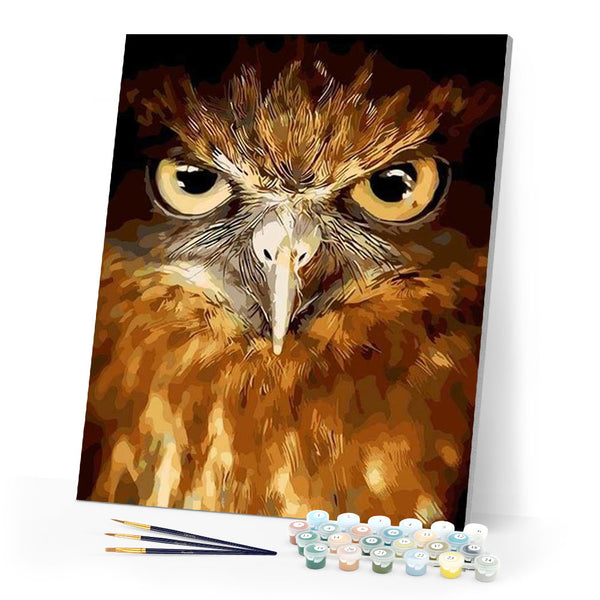 paint by numbers | Piercing eyes Hawk | animals birds intermediate owls | FiguredArt
