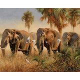 paint by numbers | Wild elephants | advanced animals elephants | FiguredArt