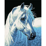 paint by numbers | White Horse Head | animals easy horses | FiguredArt