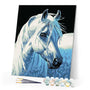paint by numbers | White Horse Head | animals easy horses | FiguredArt
