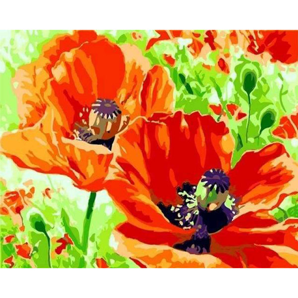 paint by numbers | Poppies | easy flowers | FiguredArt