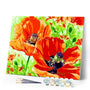 paint by numbers | Poppies | easy flowers | FiguredArt