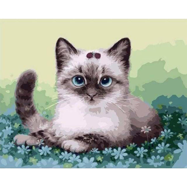 paint by numbers | Kitten and Flowers | animals cats easy | FiguredArt