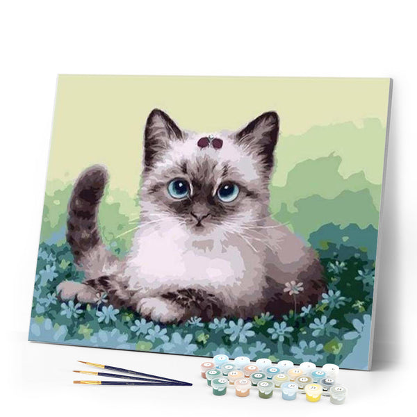 paint by numbers | Kitten and Flowers | animals cats easy | FiguredArt