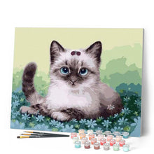 Load image into Gallery viewer, paint by numbers | Kitten and Flowers | animals cats easy | FiguredArt