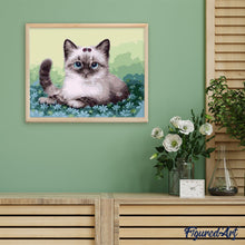 Load image into Gallery viewer, paint by numbers | Kitten and Flowers | animals cats easy | FiguredArt