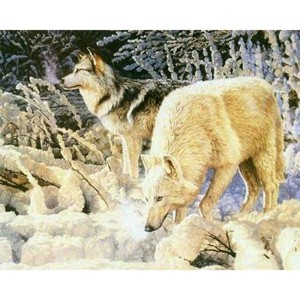 paint by numbers | Couple of White Wolves | advanced animals wolves | FiguredArt