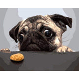 paint by numbers | Pug Dog | animals dogs intermediate | FiguredArt