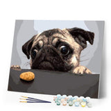 paint by numbers | Pug Dog | animals dogs intermediate | FiguredArt