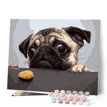 Load image into Gallery viewer, paint by numbers | Pug Dog | animals dogs intermediate | FiguredArt