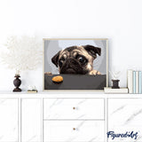 paint by numbers | Pug Dog | animals dogs intermediate | FiguredArt