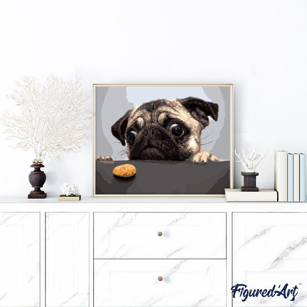paint by numbers | Pug Dog | animals dogs intermediate | FiguredArt