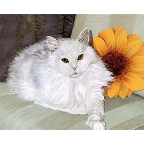 paint by numbers | White Cat and Sunflower | animals cats intermediate | FiguredArt