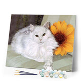 paint by numbers | White Cat and Sunflower | animals cats intermediate | FiguredArt
