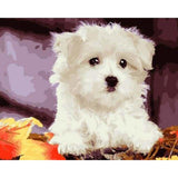 paint by numbers | Small white dog | animals dogs easy | FiguredArt