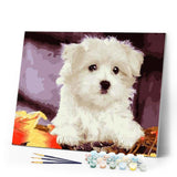 paint by numbers | Small white dog | animals dogs easy | FiguredArt