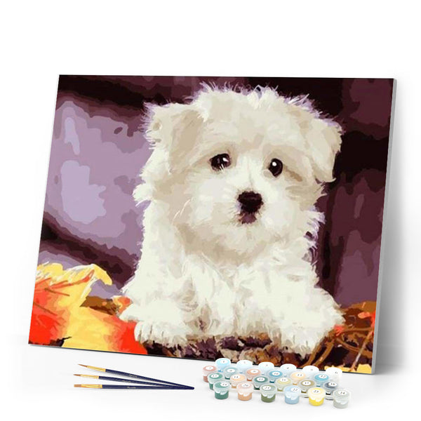 paint by numbers | Small white dog | animals dogs easy | FiguredArt