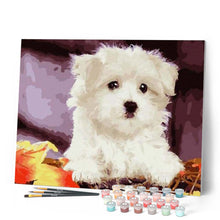 Load image into Gallery viewer, paint by numbers | Small white dog | animals dogs easy | FiguredArt