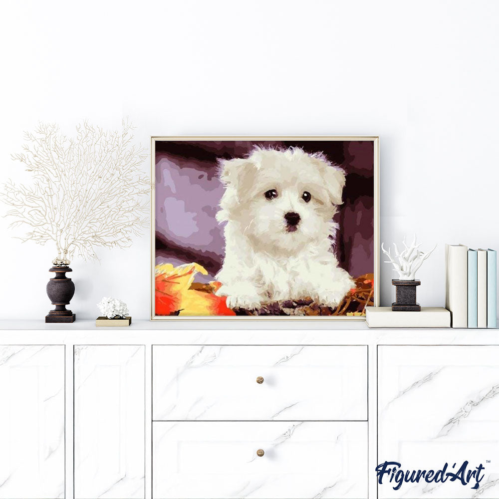 paint by numbers | Small white dog | animals dogs easy | FiguredArt