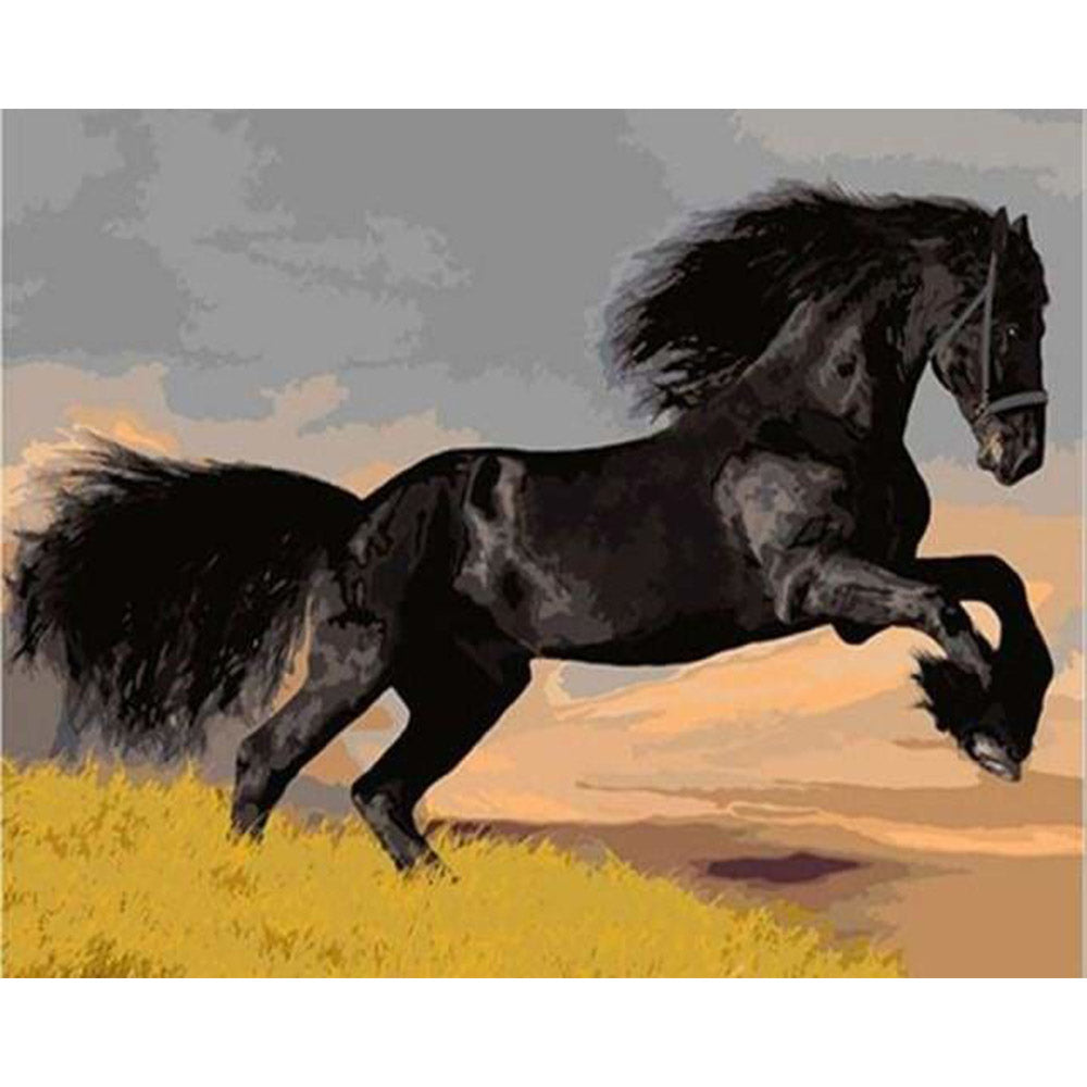 paint by numbers | Black Stallion | animals easy horses | FiguredArt