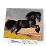 paint by numbers | Black Stallion | animals easy horses | FiguredArt