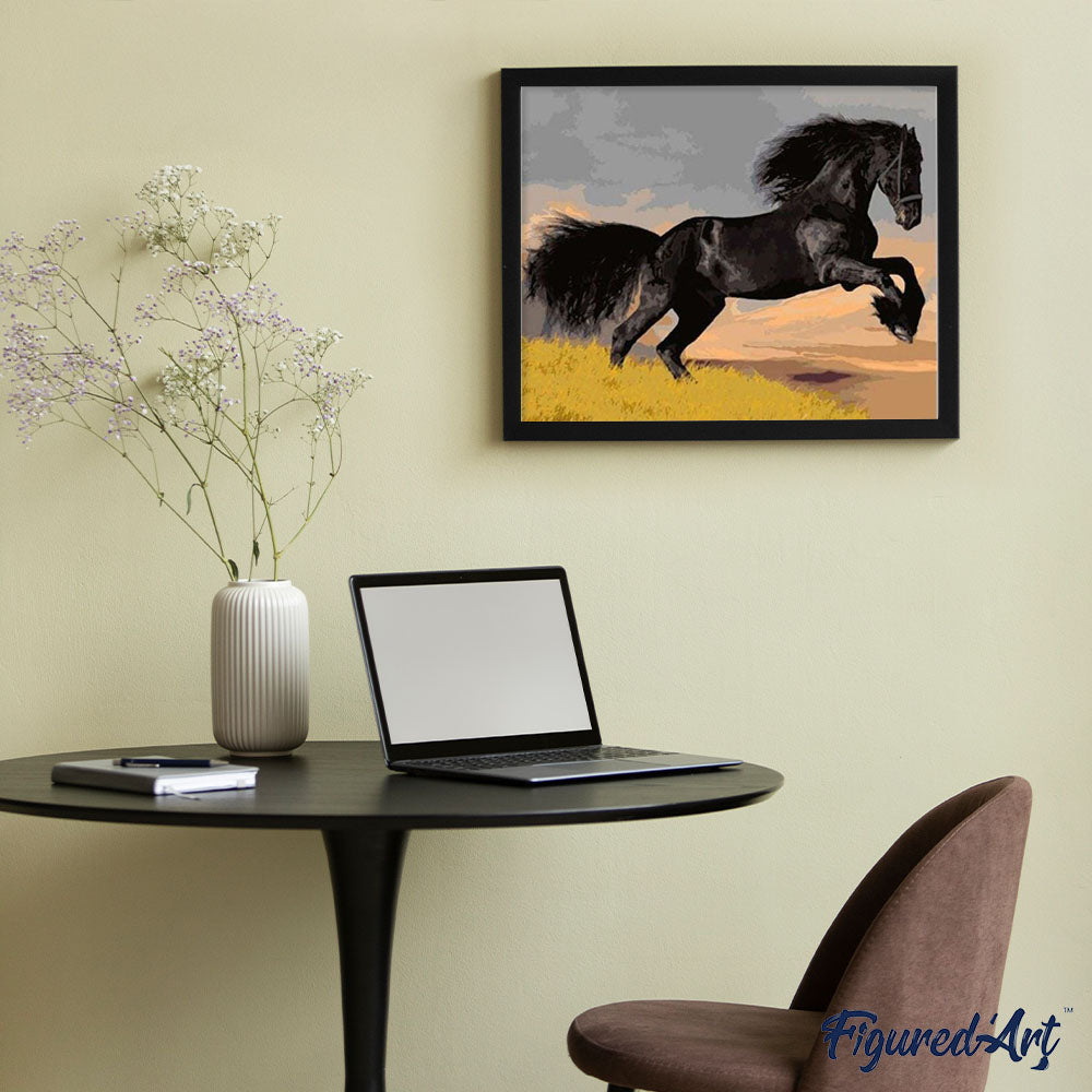 paint by numbers | Black Stallion | animals easy horses | FiguredArt