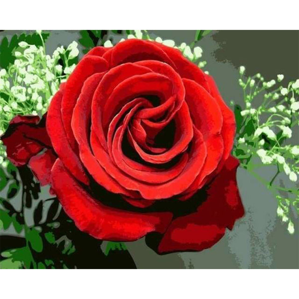 paint by numbers | Red Rose | easy flowers | FiguredArt