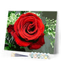 paint by numbers | Red Rose | easy flowers | FiguredArt