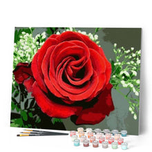 Load image into Gallery viewer, paint by numbers | Red Rose | easy flowers | FiguredArt