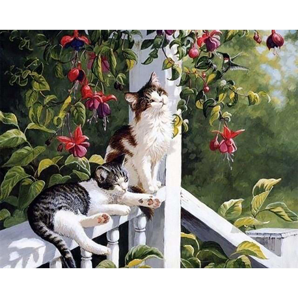 paint by numbers | Cats and Hummingbird | advanced animals birds cats | FiguredArt