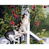 paint by numbers | Cats and Hummingbird | advanced animals birds cats | FiguredArt