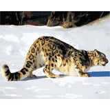 paint by numbers | Leopard in the Snow | animals easy leopards | FiguredArt