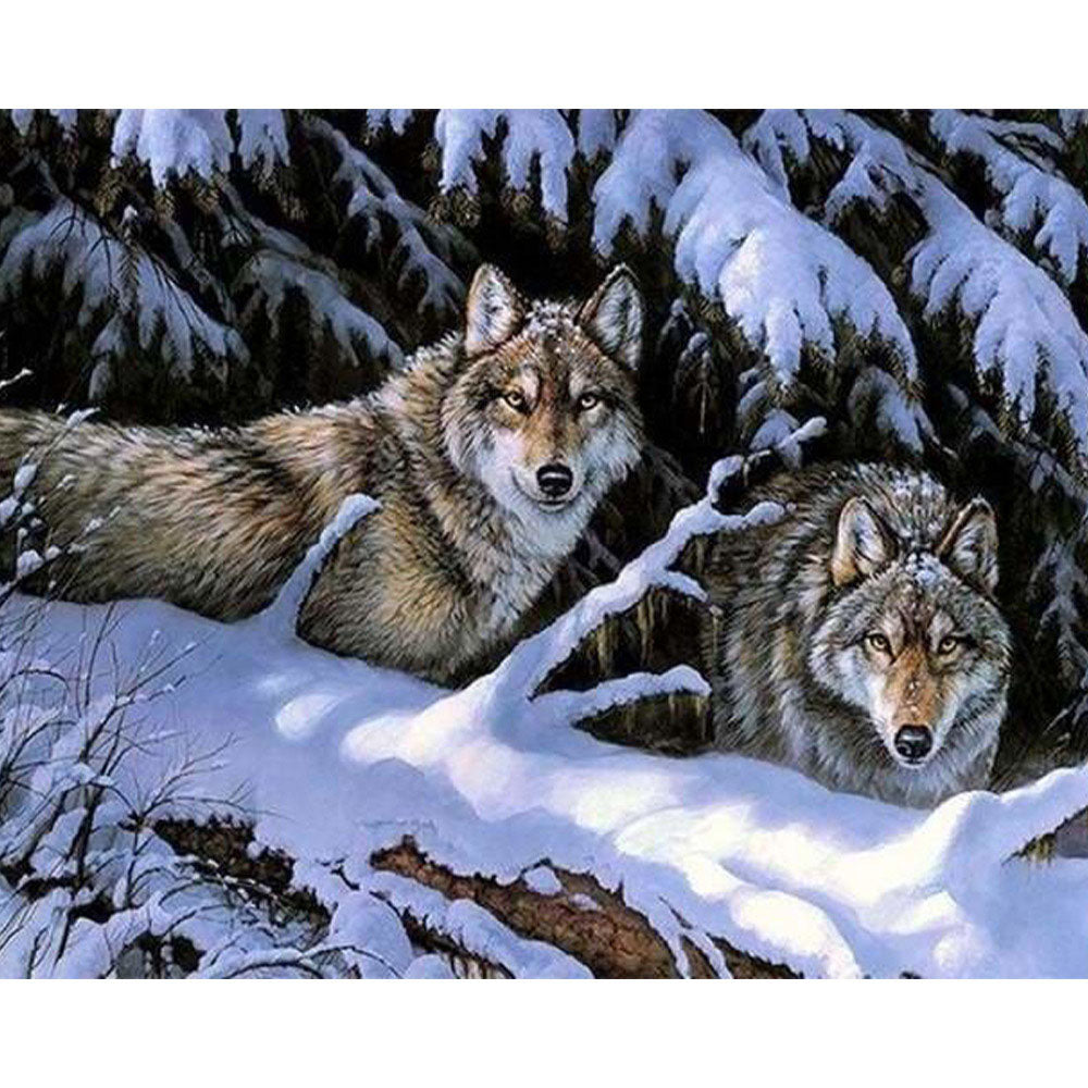 paint by numbers | Wolves in Winter | advanced animals wolves | FiguredArt