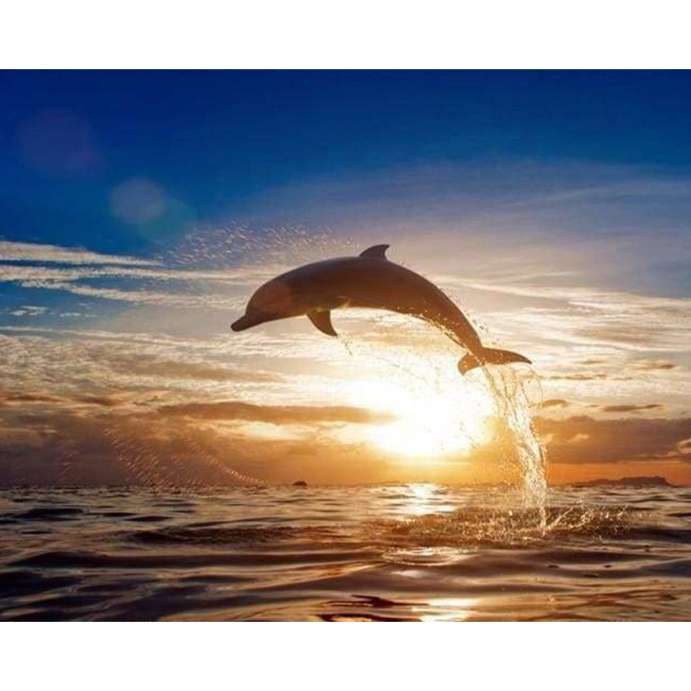 paint by numbers | Jumping Dolphin | advanced animals dolphins landscapes | FiguredArt