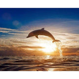 paint by numbers | Jumping Dolphin | advanced animals dolphins landscapes | FiguredArt