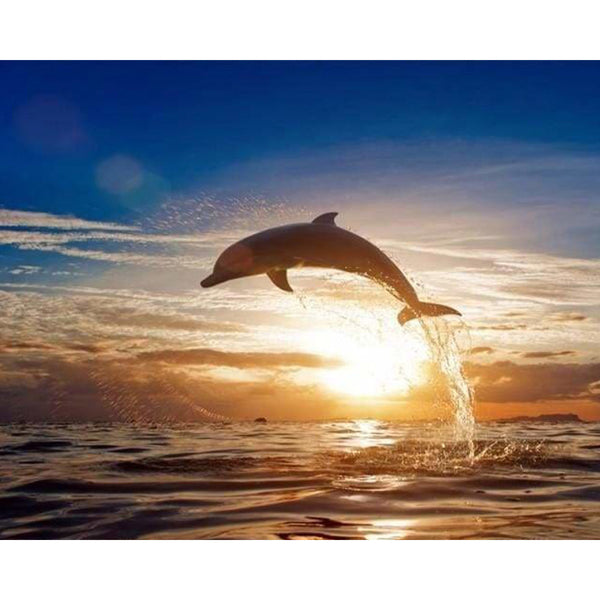 paint by numbers | Jumping Dolphin | advanced animals dolphins landscapes | FiguredArt