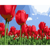 paint by numbers | Red Tulips | beginners easy flowers | FiguredArt