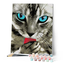 Load image into Gallery viewer, Paint by numbers | Beautiful Cat with Blue Eyes | animals cats intermediate | Figured'Art
