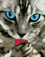 Load image into Gallery viewer, Paint by numbers | Beautiful Cat with Blue Eyes | animals cats intermediate | Figured'Art