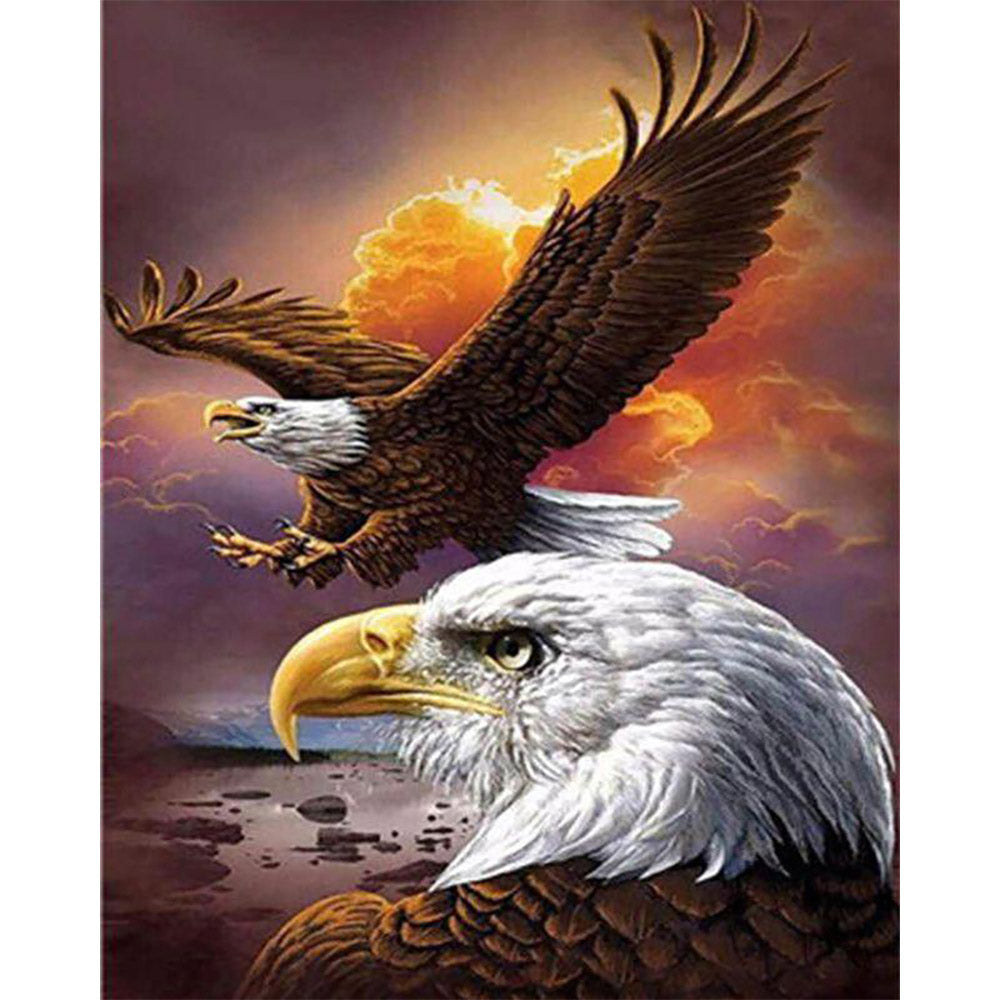 Paint by numbers | The American Eagle | eagles animals intermediate birds | Figured'Art