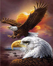 Load image into Gallery viewer, Paint by numbers | The American Eagle | eagles animals intermediate birds | Figured'Art