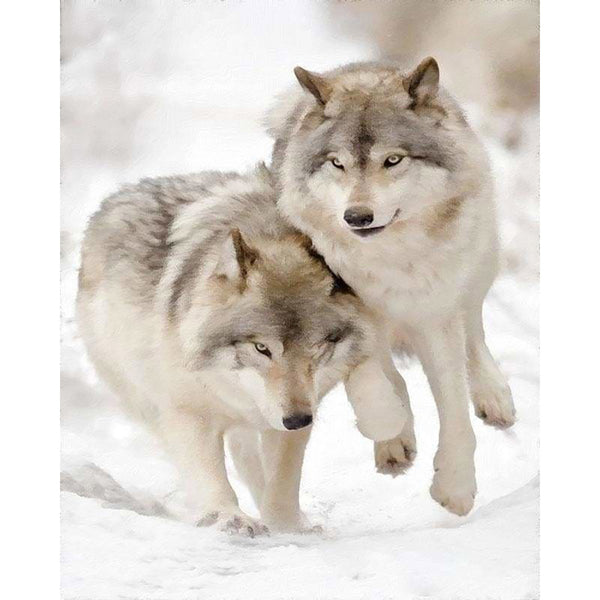 paint by numbers | Wolves playing in the Snow | advanced animals wolves | FiguredArt