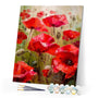 paint by numbers | Field of Poppies | advanced flowers | FiguredArt