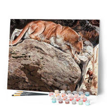 Load image into Gallery viewer, paint by numbers | Lynx | advanced animals | FiguredArt