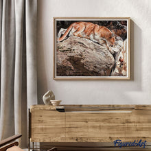Load image into Gallery viewer, paint by numbers | Lynx | advanced animals | FiguredArt