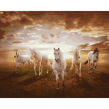 paint by numbers | Galloping white Horses | advanced animals horses | FiguredArt