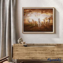 Load image into Gallery viewer, paint by numbers | Galloping white Horses | advanced animals horses | FiguredArt