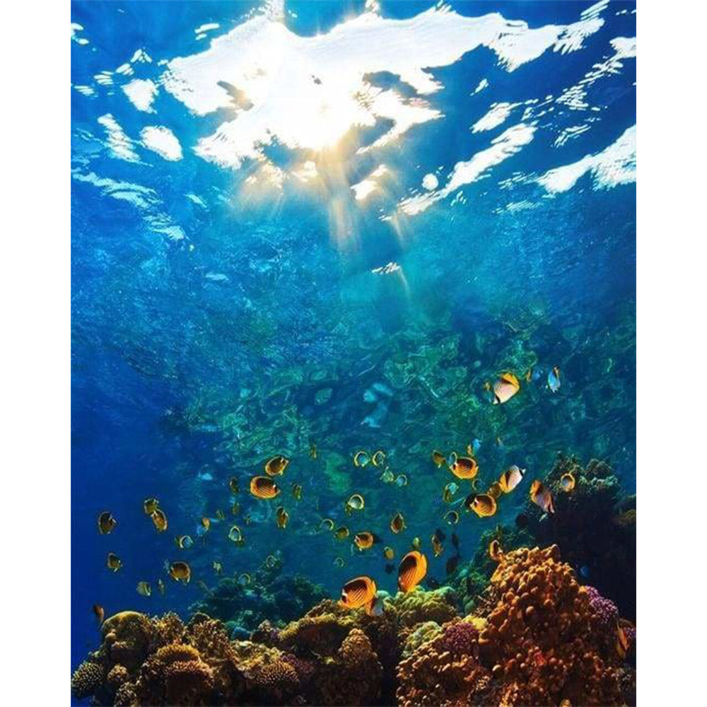 paint by numbers | Scuba Diving | advanced landscapes | FiguredArt