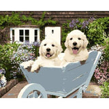 paint by numbers | Two Puppies in a Wheelbarrow | animals dogs easy | FiguredArt